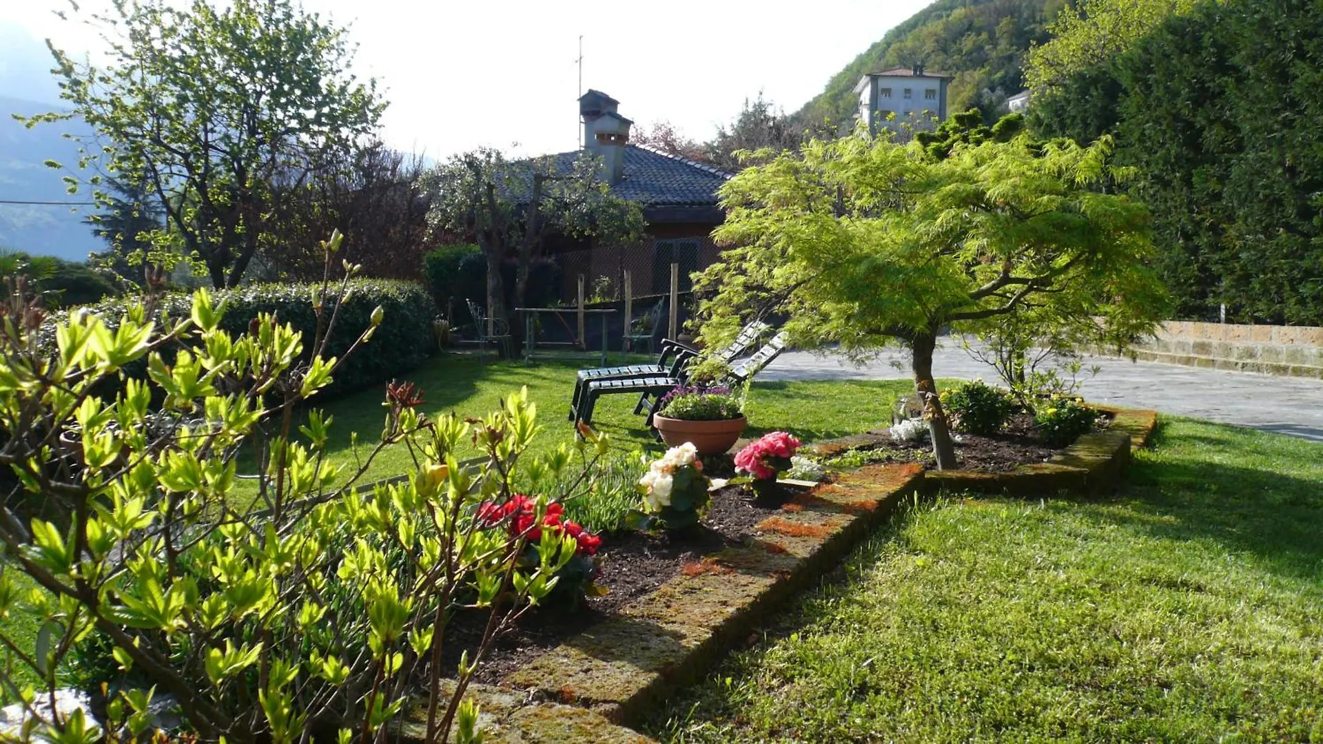 Casa Beatrice Apartment Oliveto Lario